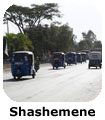 Shashemene